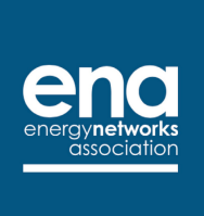 ena energy association networks image