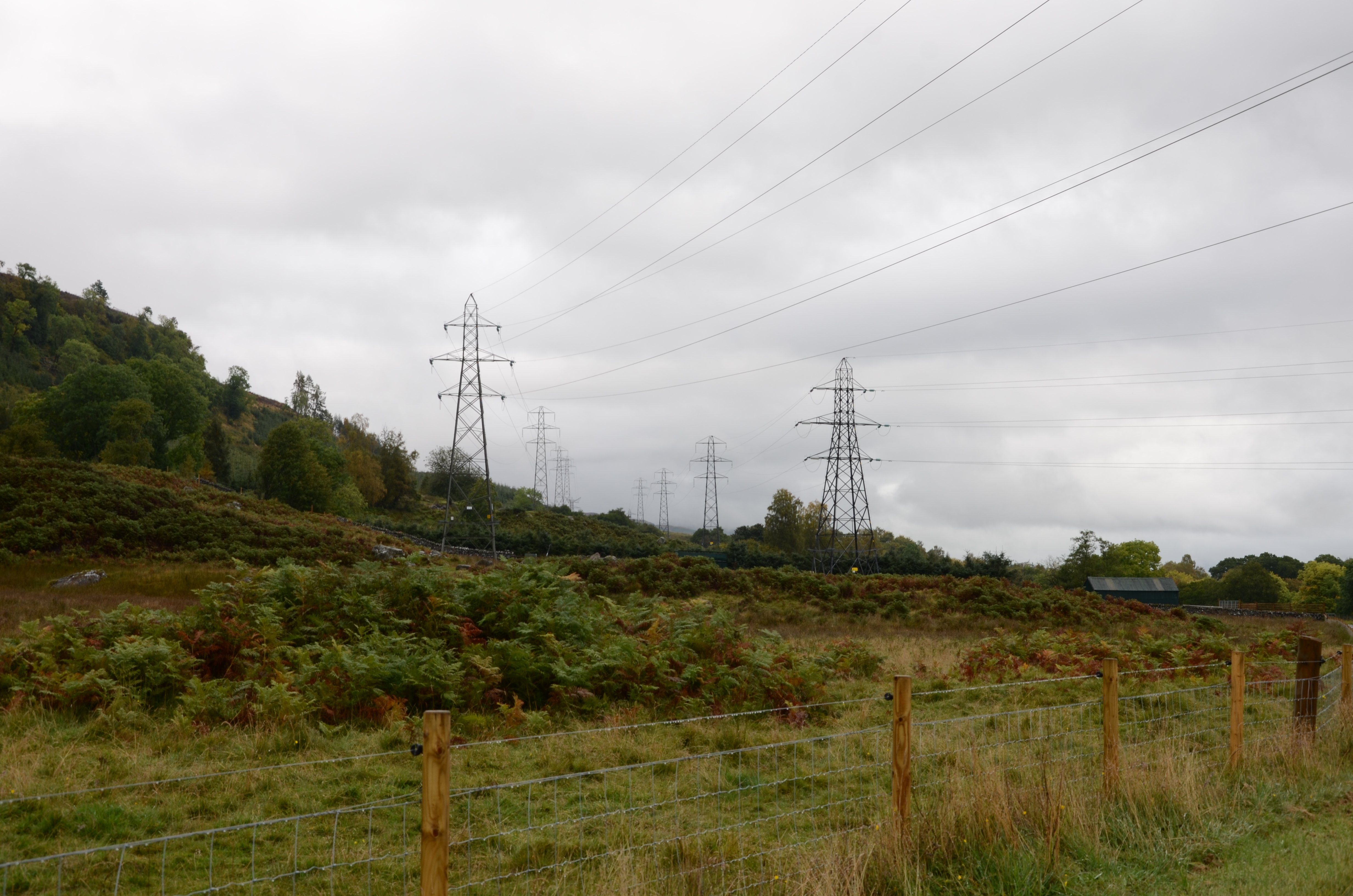 Transmission asset Two overhead lines composed of metal transmission towers.