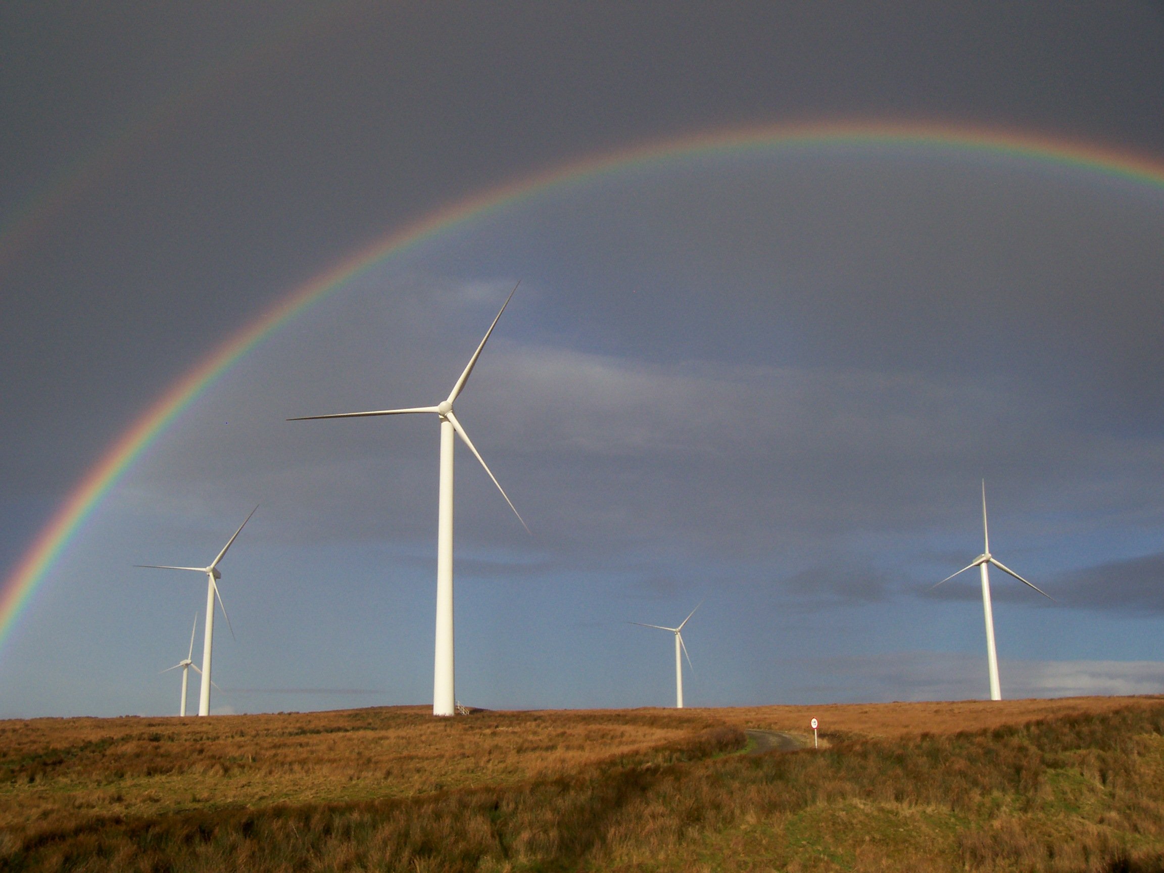 A rainbow over wind turbines.