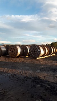 Wooden cylinders resting on wooden chocks on muddy ground.