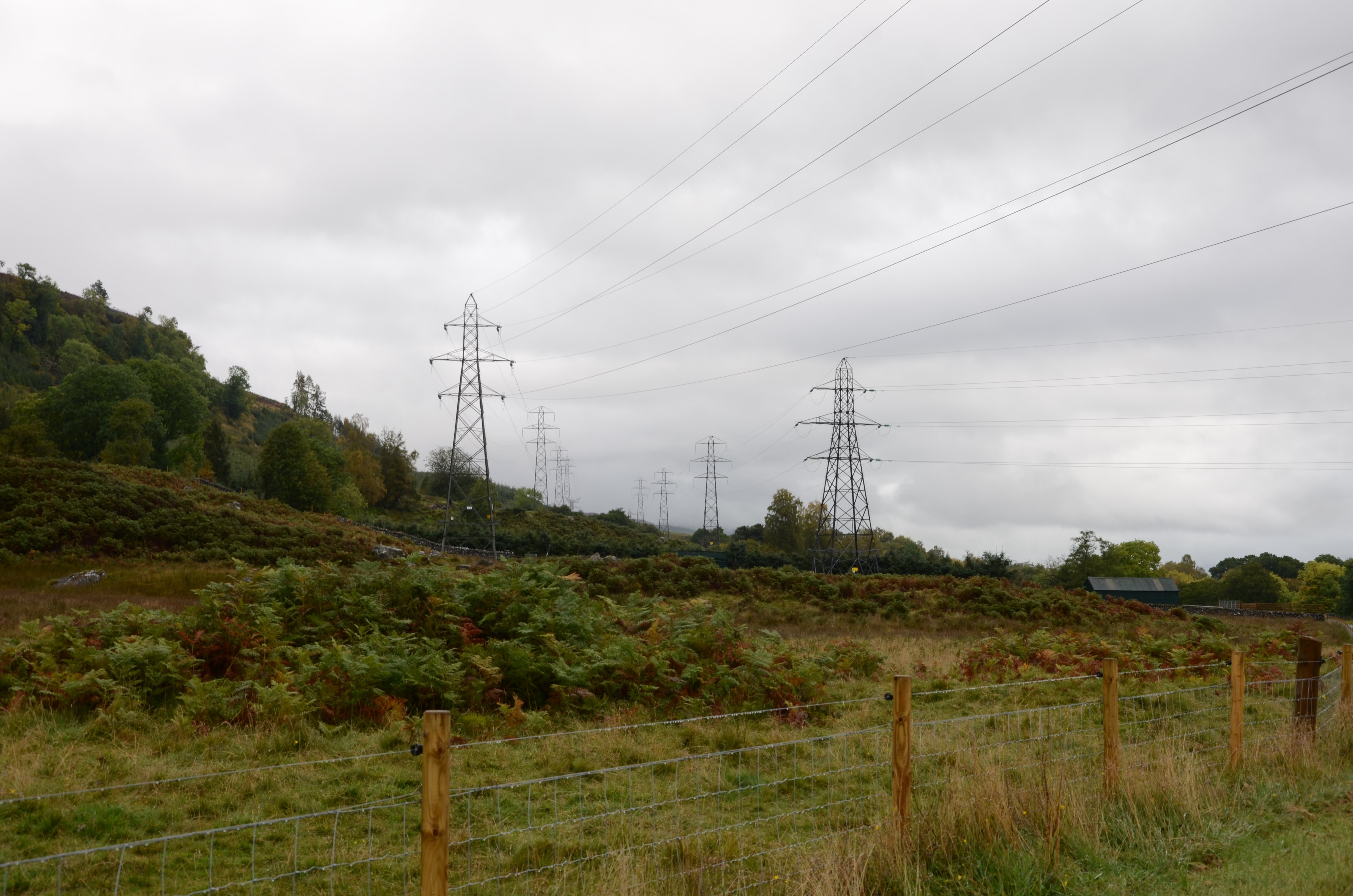 Two overhead lines composed of metal transmission towers.