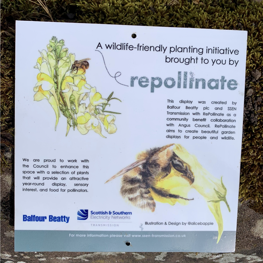 Brechin Bee Bed Sign