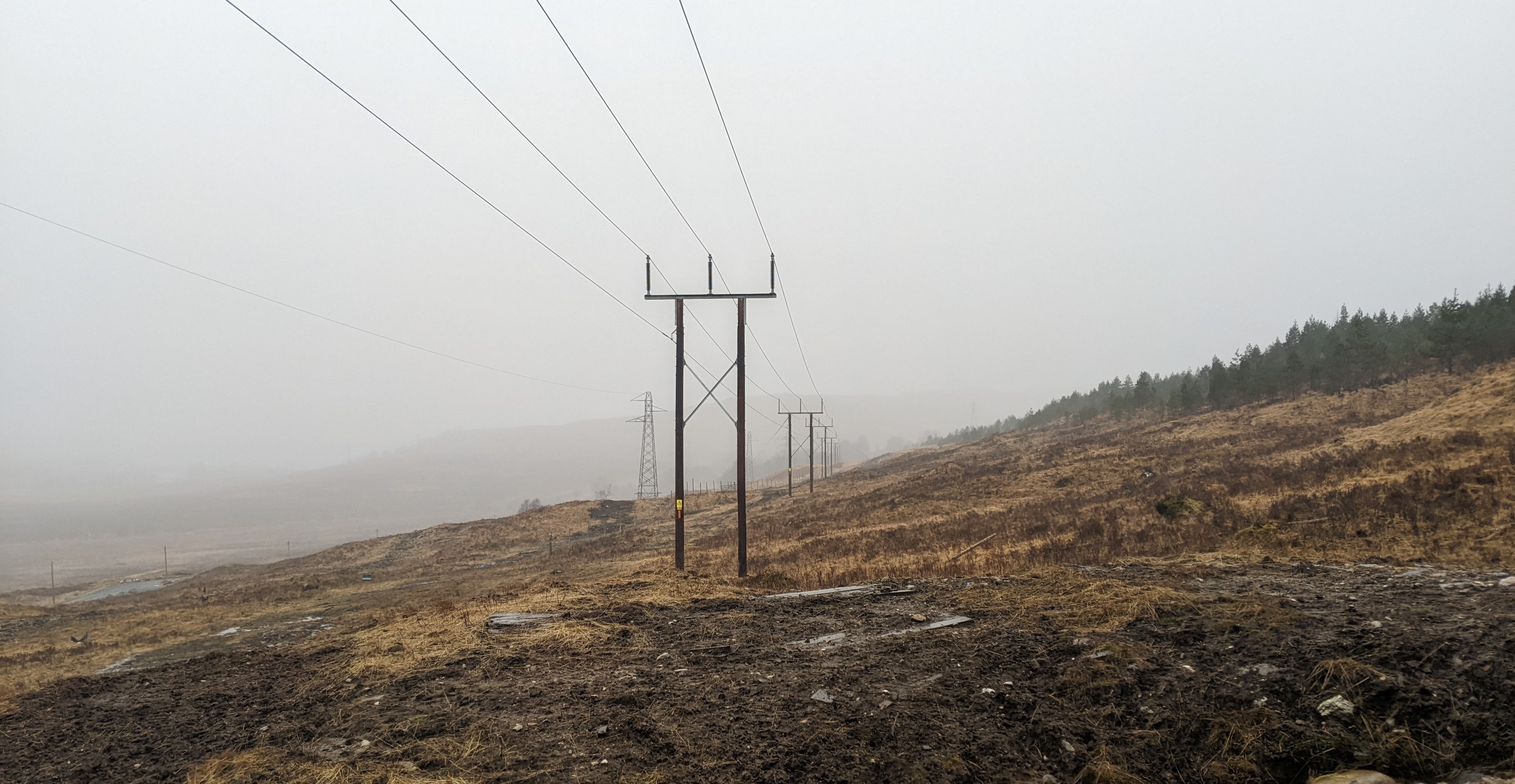 An image of a wooden transmission pole on Stornoway