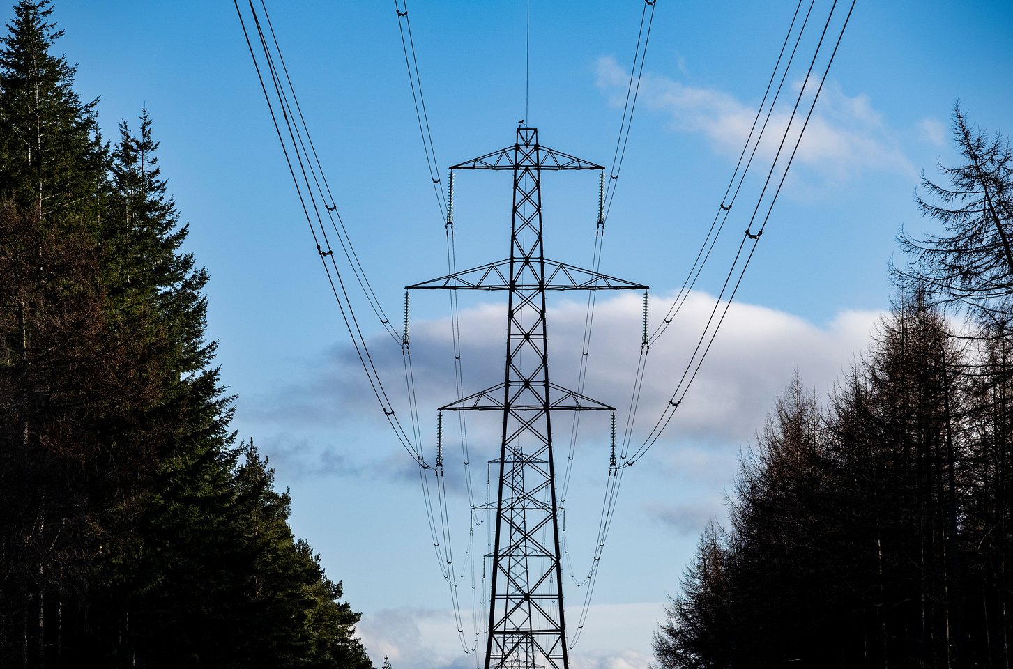 Image of Overhead Lines 