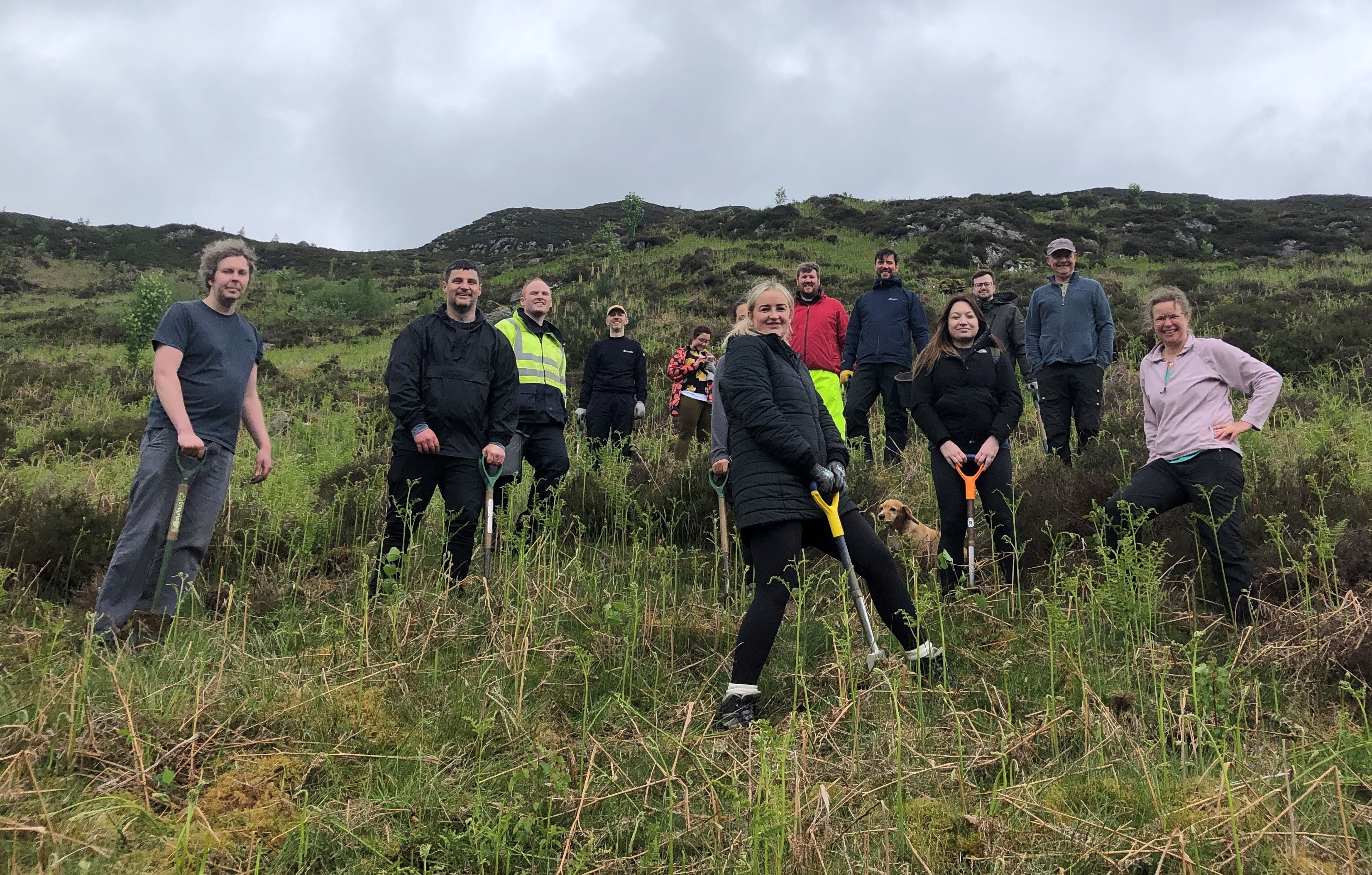 The team of volunteers helped plant over 200 trees at Dun Coillich